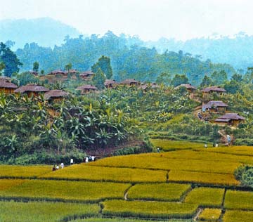 Chittagong Hill Tract gallery